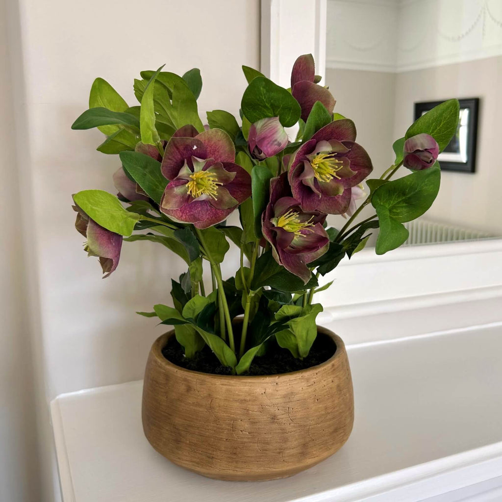 Lifelike plum hellebore faux plant in taupe ceramic pot, ultra-realistic blooms and foliage for home decor by sostter at brixbailey.com