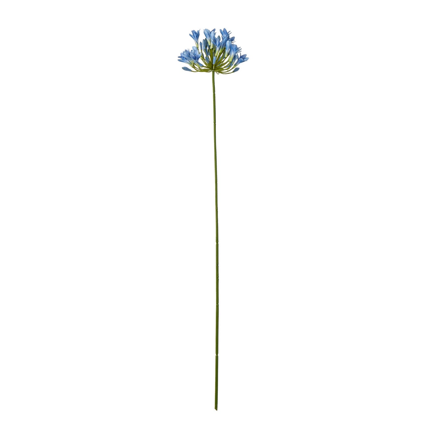 Blue agapanthus artificial stem with vibrant petals, lifelike botanical detail, 75cm tall home decor accent by Sostter at brixbailey.com