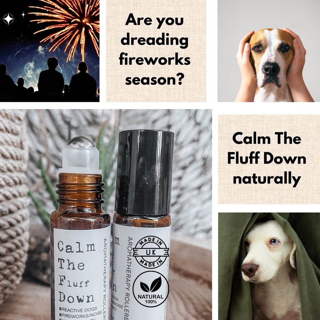 Natural Calming Aromatherapy Rollerball for Dogs