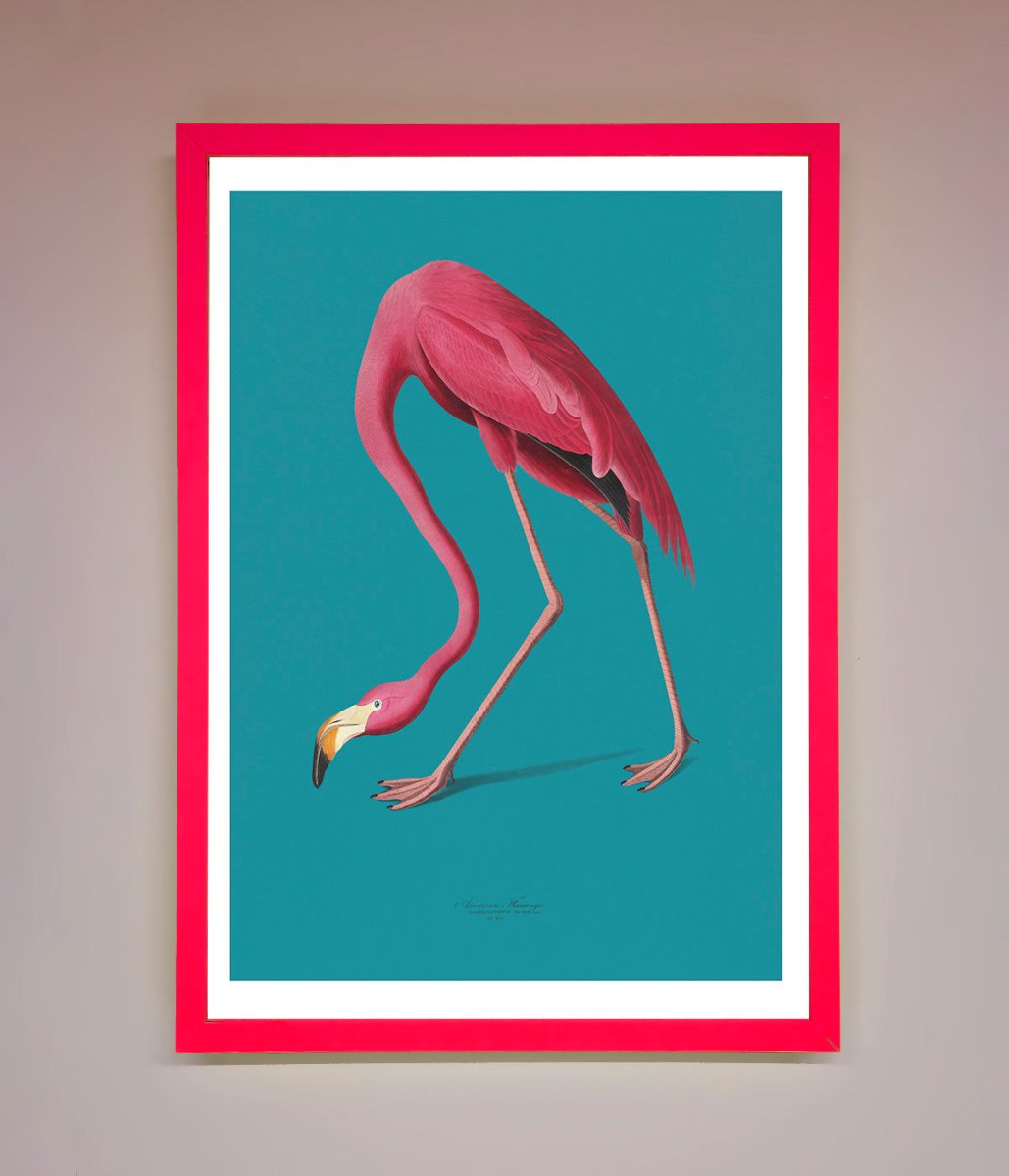 Blue Flamingo Walks Framed Print