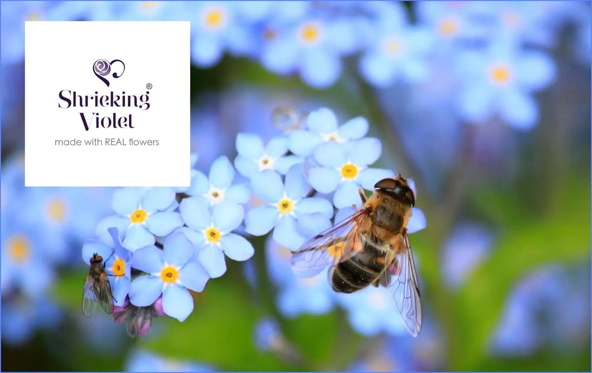 Forget Me Not Vertical Bar Necklace Leela Pendant Handmade Real Flowers