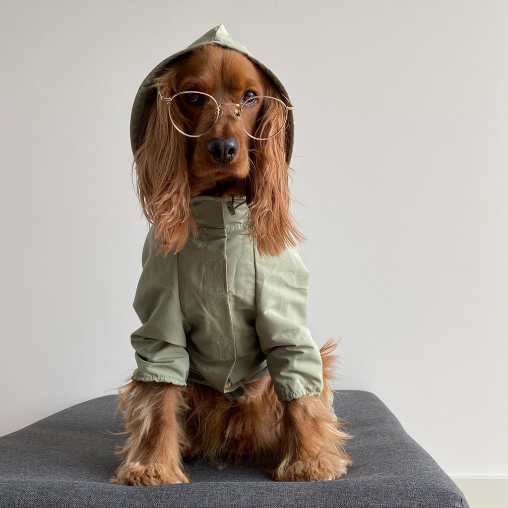 Waterproof Dog Coat with Hood and Four Leg Fit
