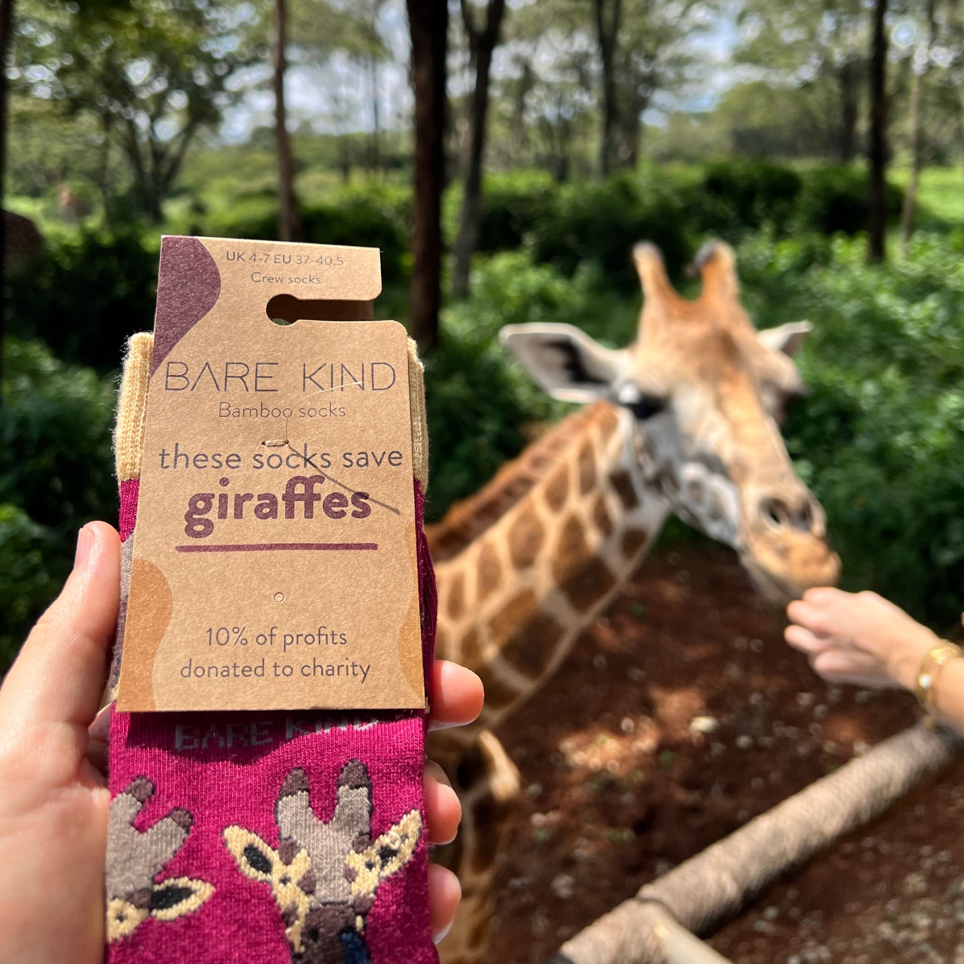 Safari Giants Bamboo Sock Set, 2 Pairs