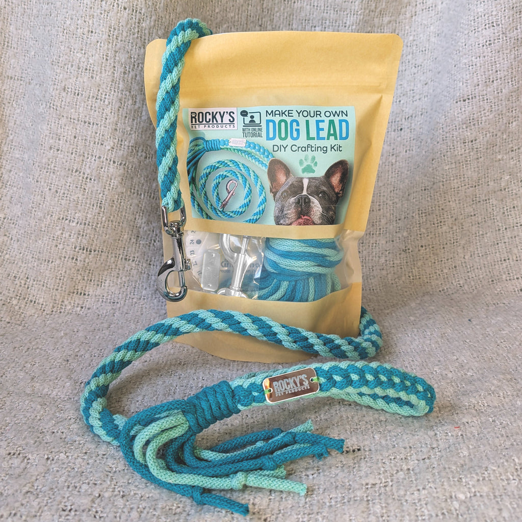 Make Your Own Dog Lead Craft Kit in Mint