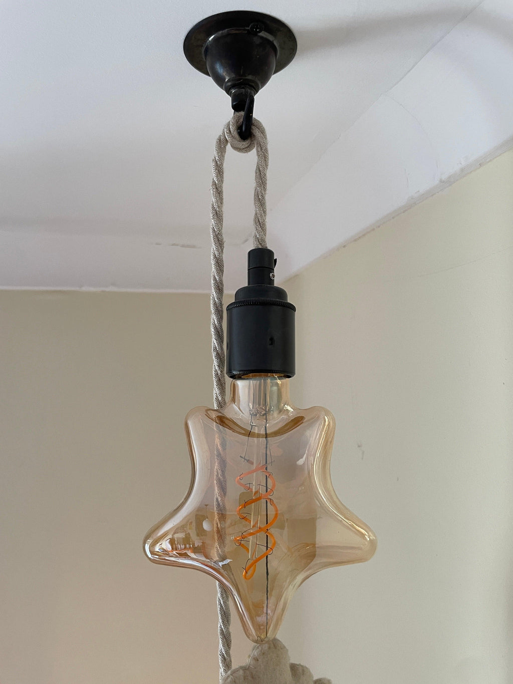 Gryffindor Plug in Pendant Cable Set