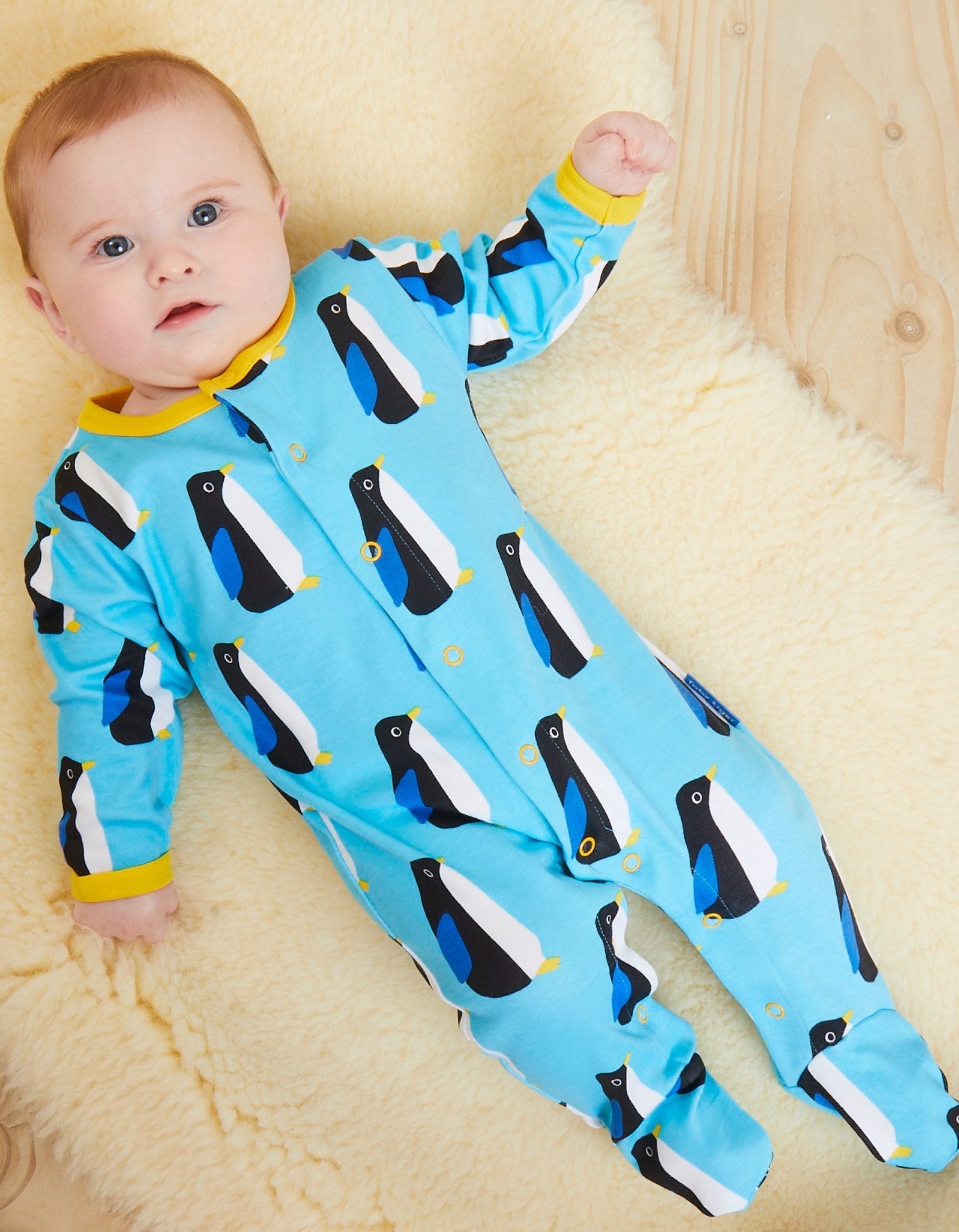 Organic Penguin Print Baby Gift Set