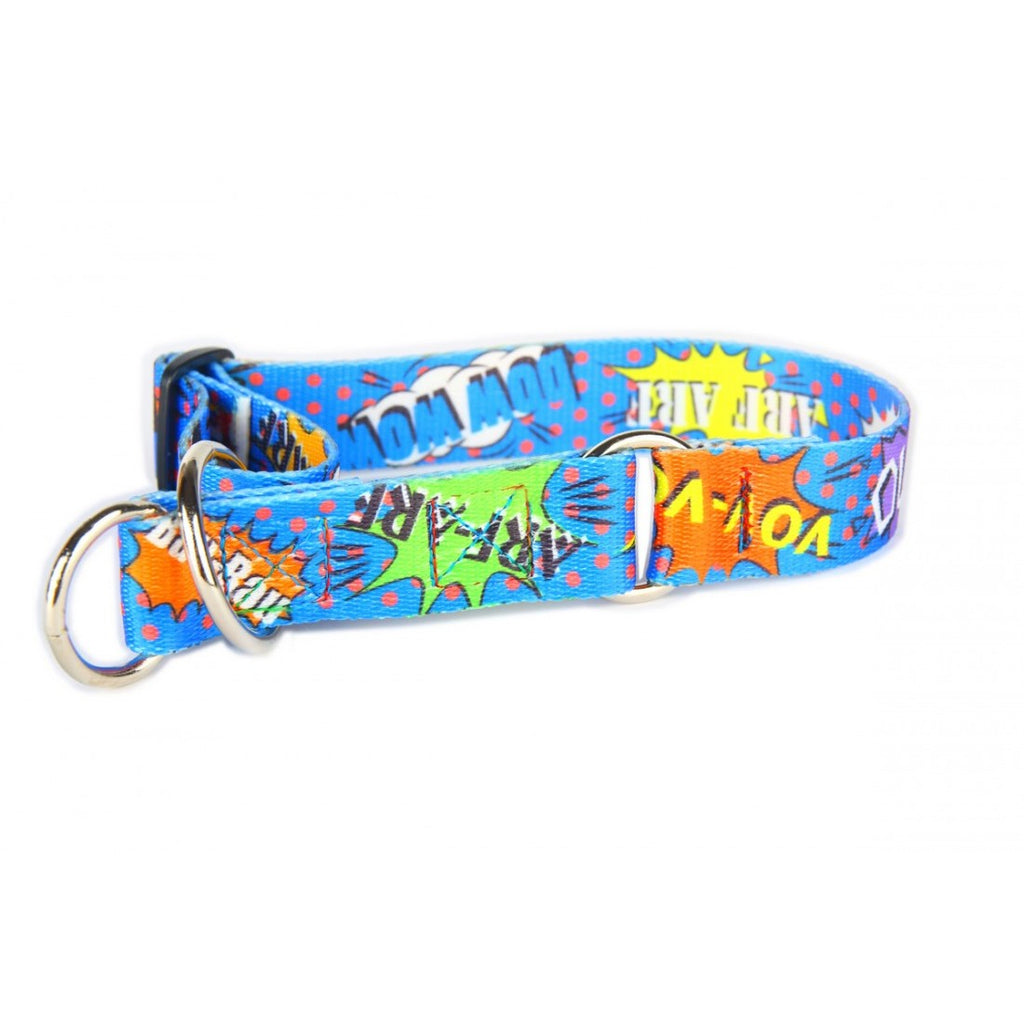 elegant blue graffiti dog collar with polished steel hardware on a dark background