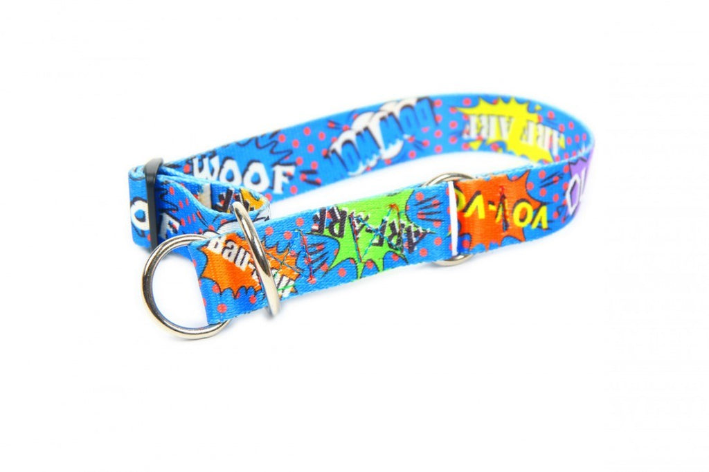 soft blue graffiti half choke collar on a large dog in gentle morning light