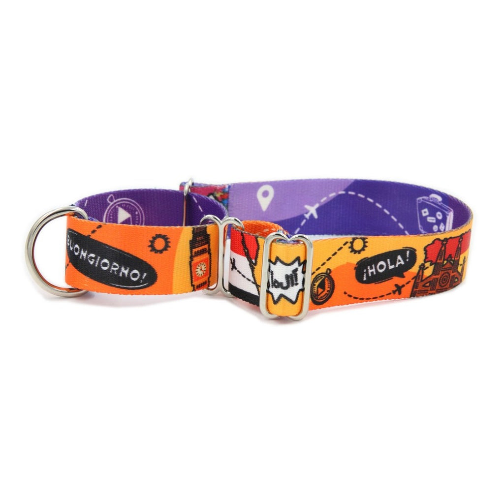 close-up detail of the polished steel hardware and durable woven tape on a half choke dog collar