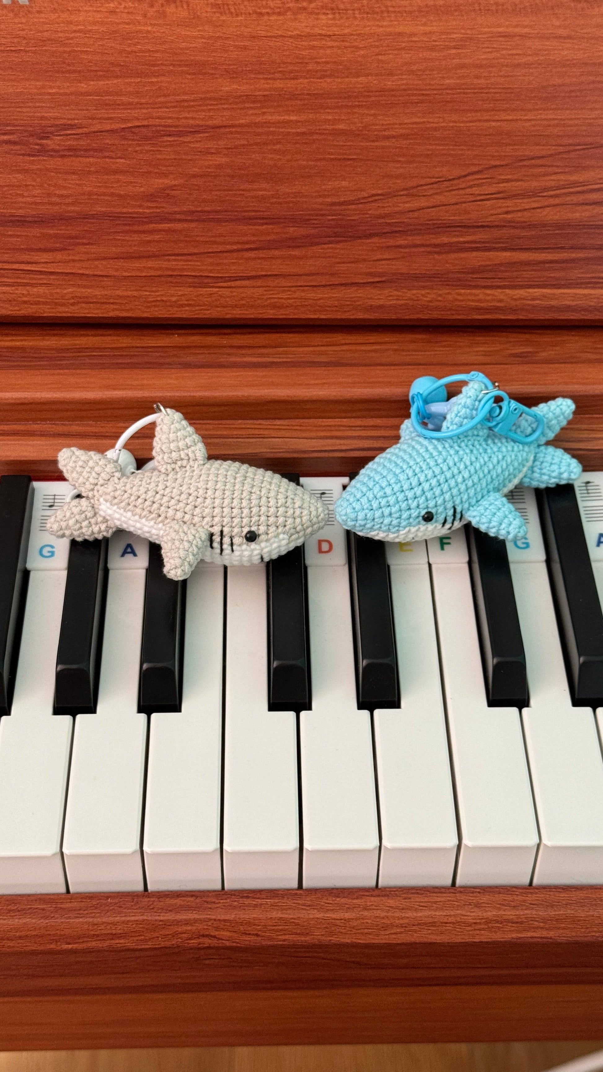 Shark Swimming Companion