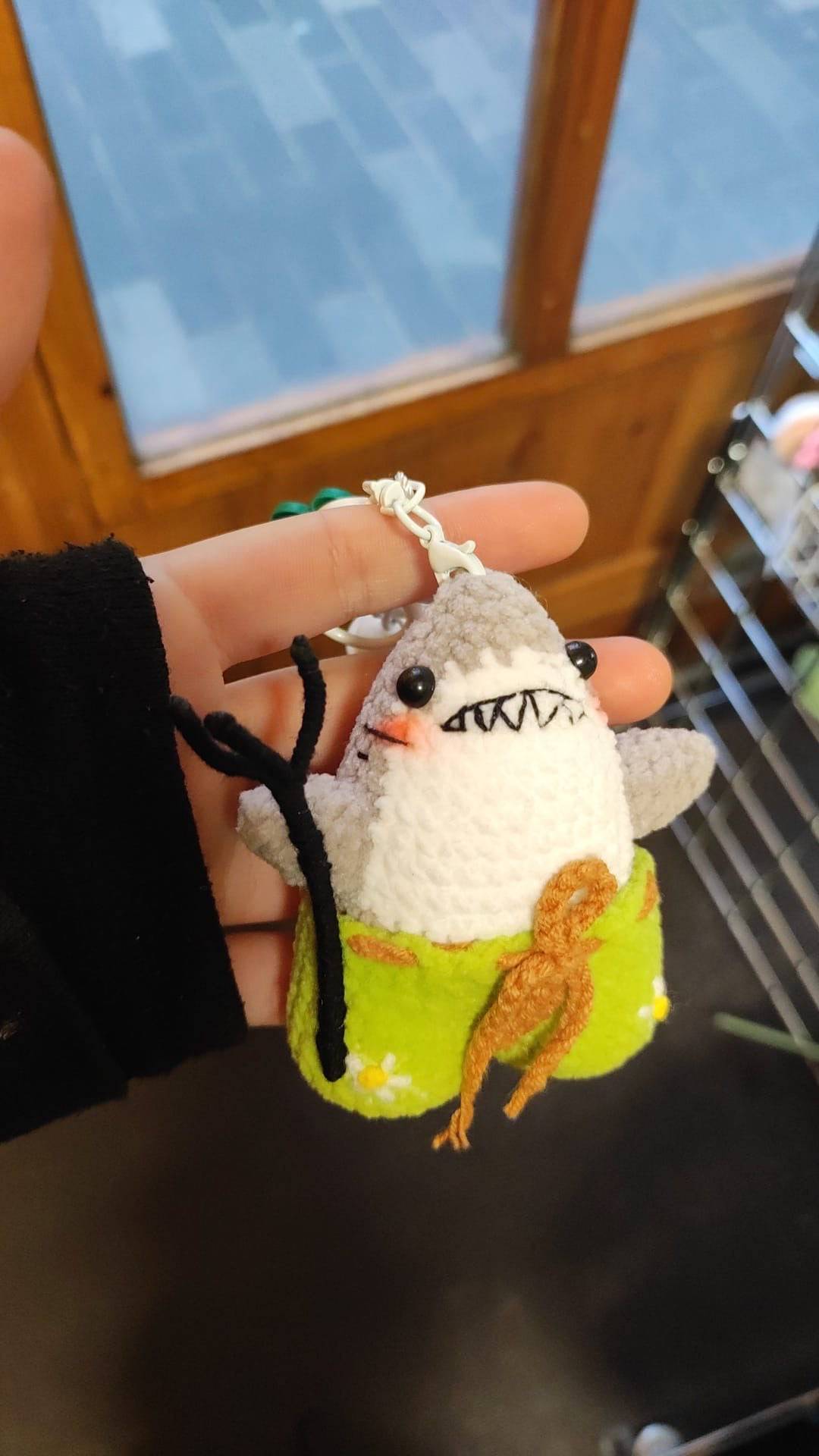 Shark Swimming Companion