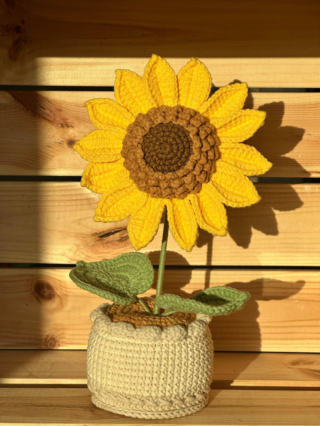 XXL Pot Plants Larger Size Bigger Smile