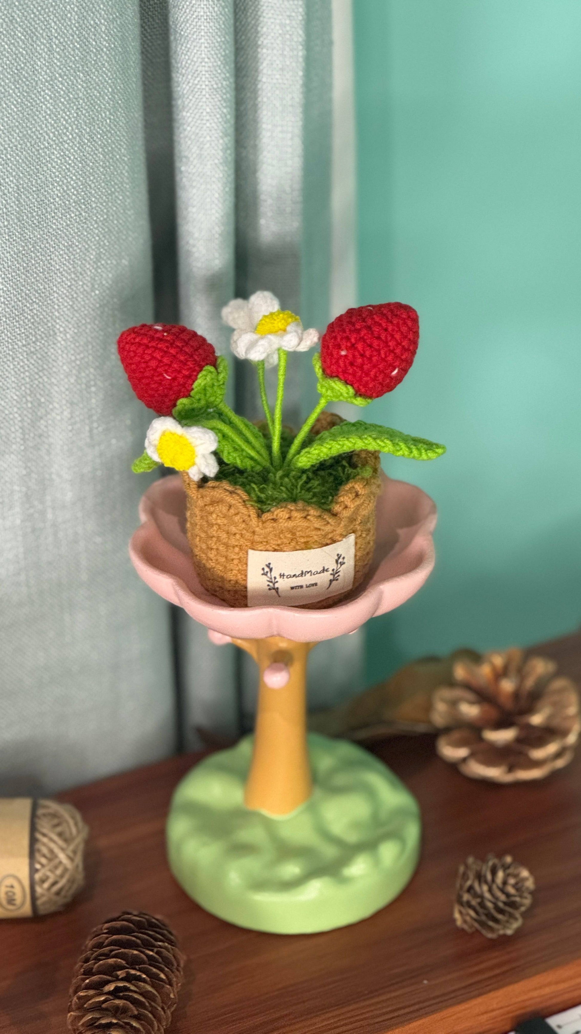 XXL Pot Plants Larger Size Bigger Smile