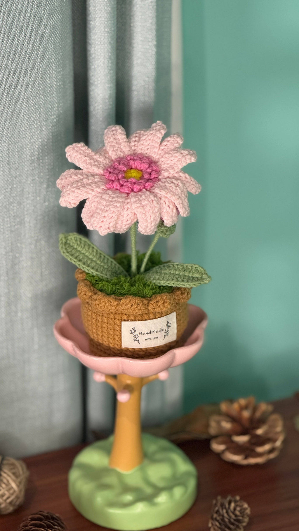 XXL Pot Plants Larger Size Bigger Smile