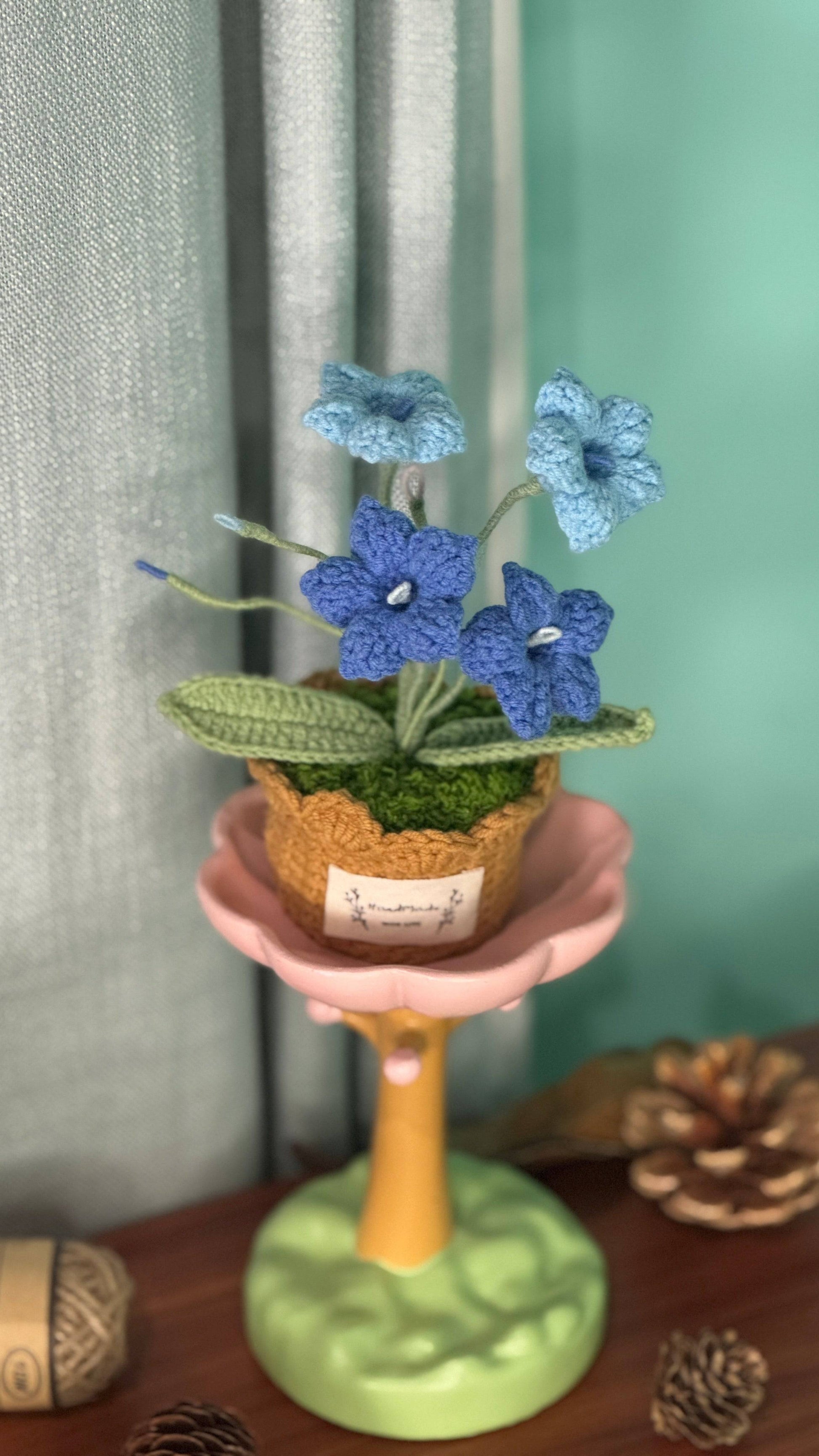 XXL Pot Plants Larger Size Bigger Smile