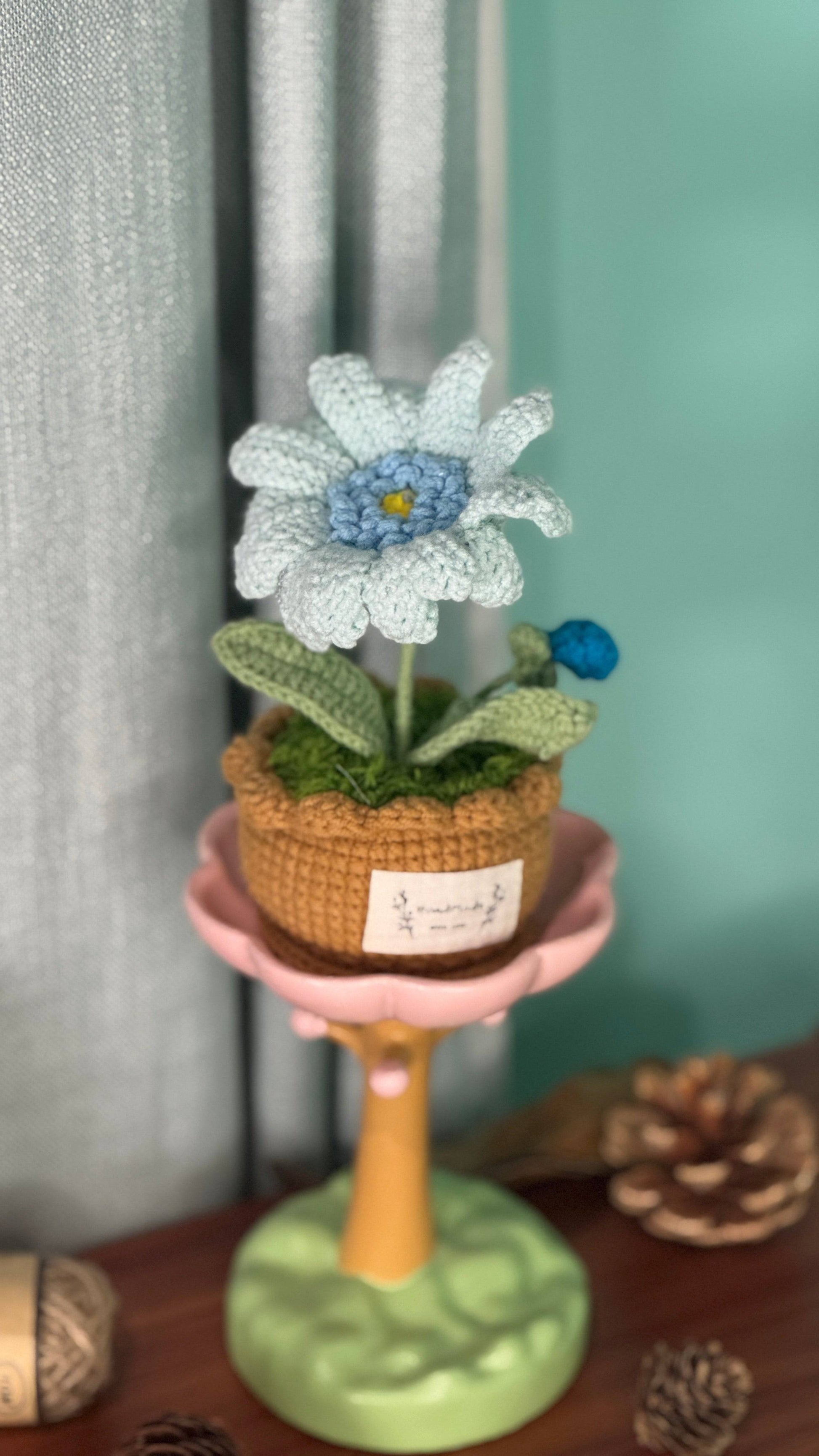XXL Pot Plants Larger Size Bigger Smile