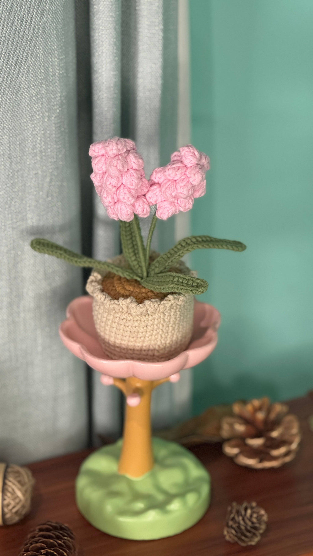 XXL Pot Plants Larger Size Bigger Smile