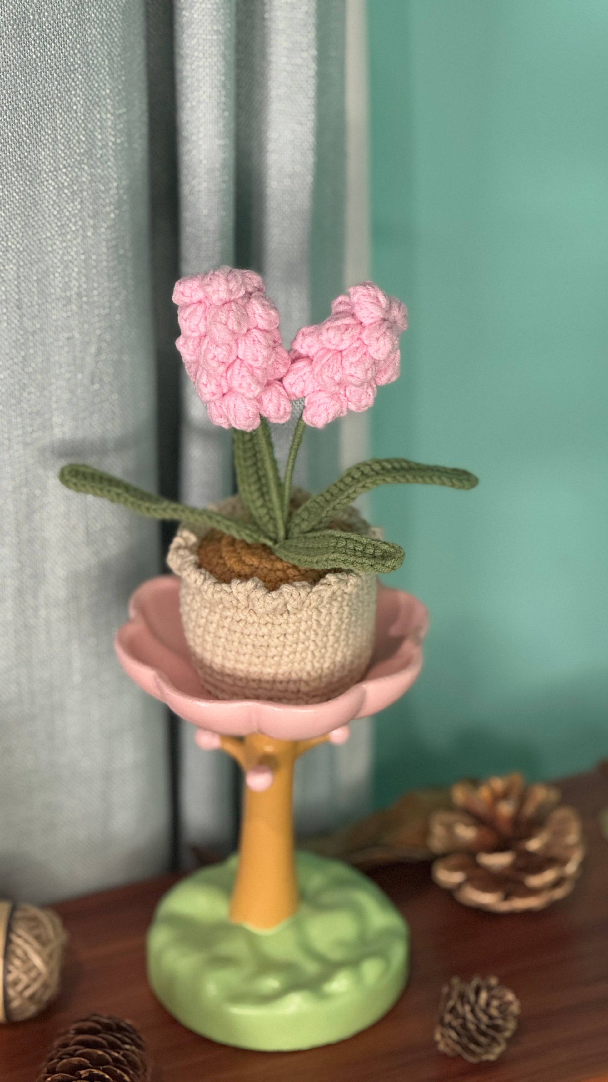 XXL Pot Plants Larger Size Bigger Smile