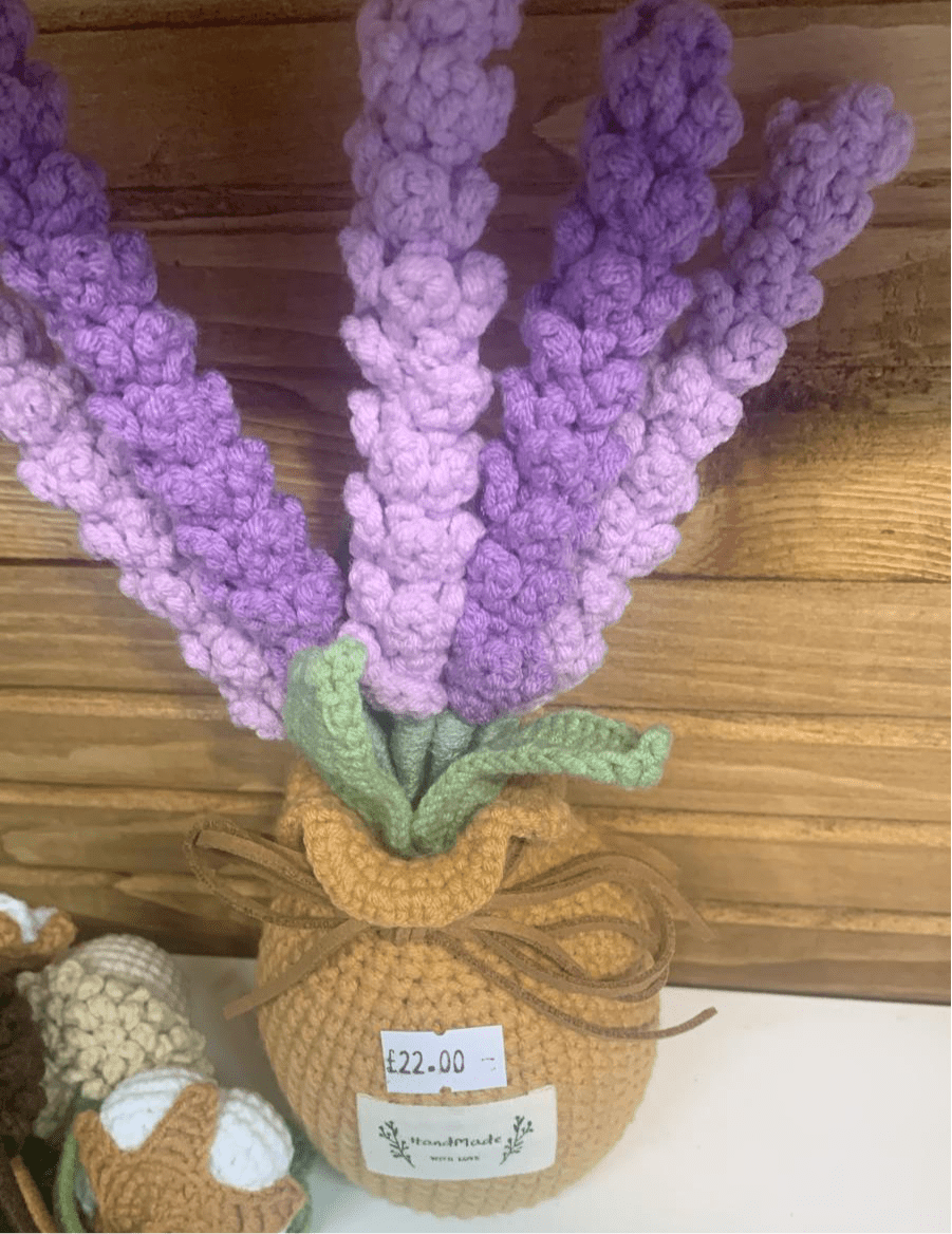 XXL Pot Plants Larger Size Bigger Smile