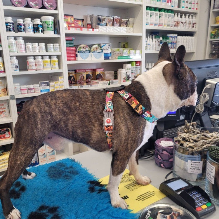 a playful dog modeling the travel-themed harness with leather accents, eiffel tower design visible