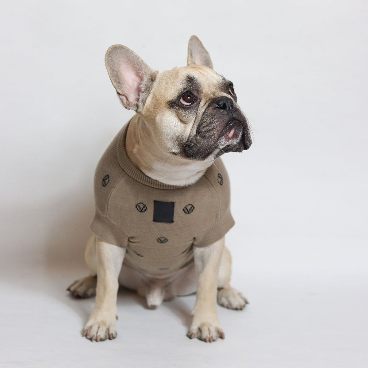 Overglam Icon Jumper in Khaki