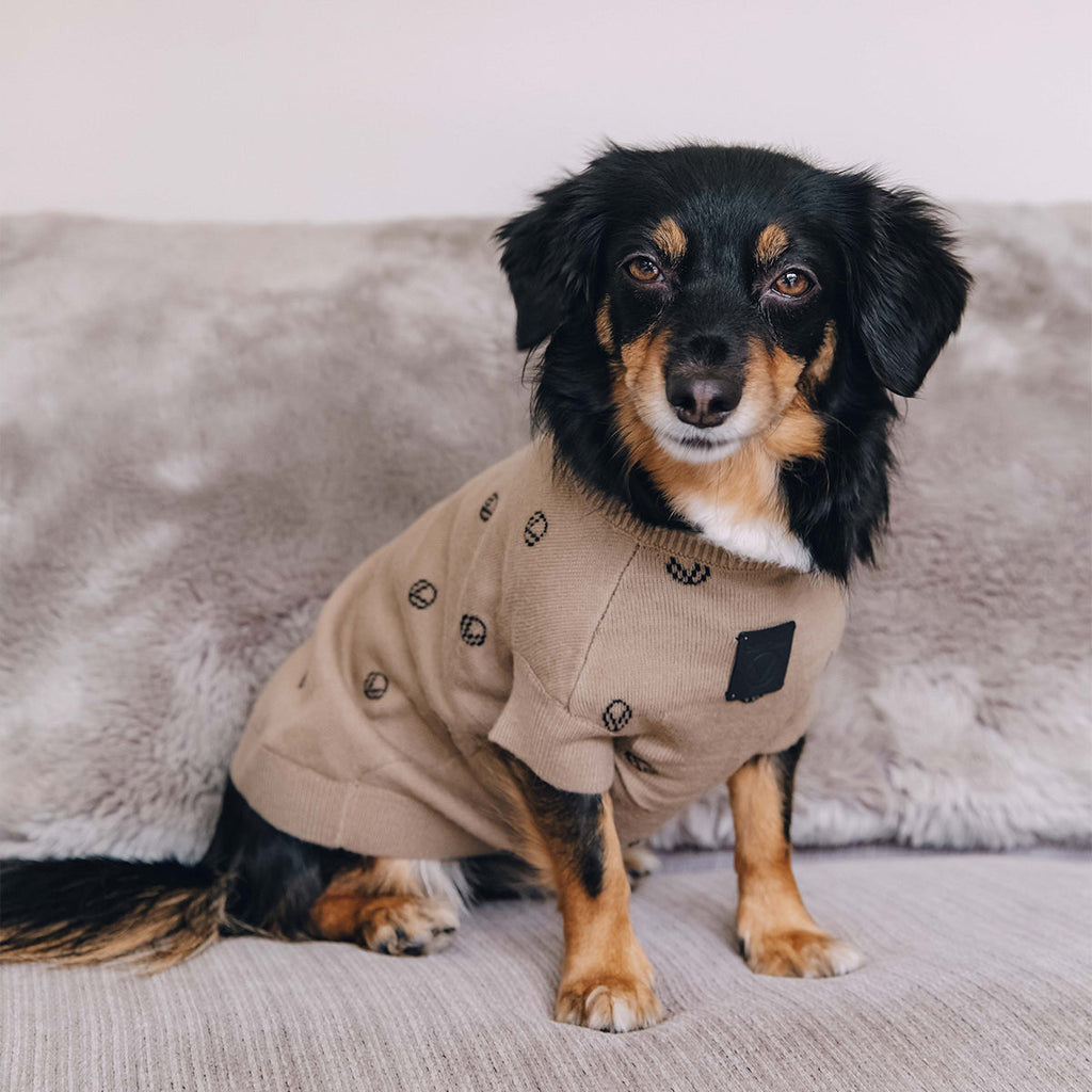 Overglam Icon Jumper in Khaki