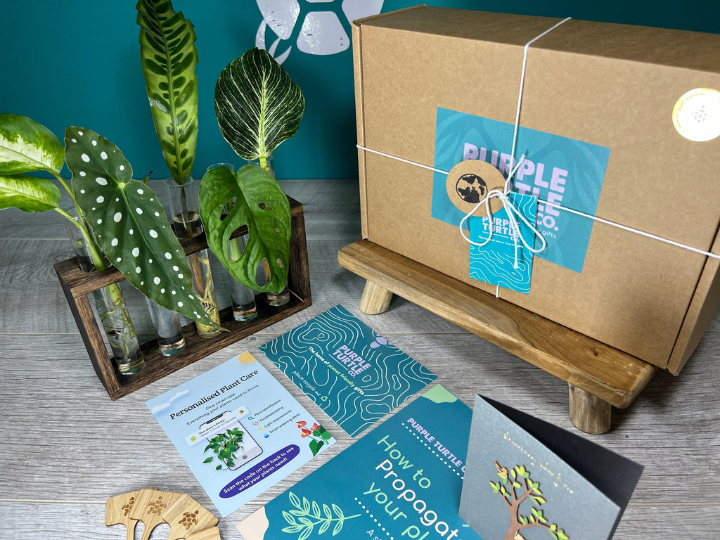 Plant Propagation Gift Set for Home Gardeners
