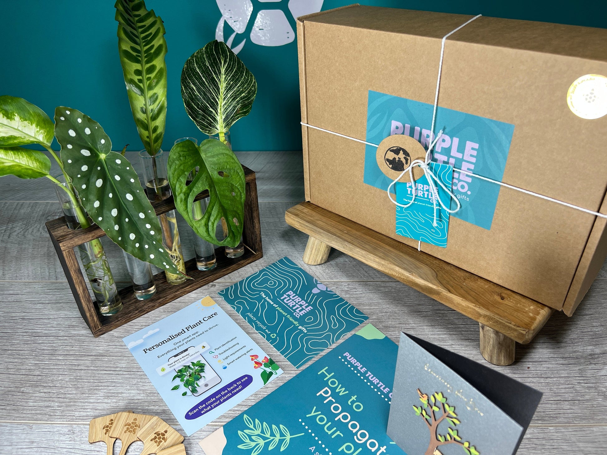 Plant Propagation Gift Set for Home Gardeners