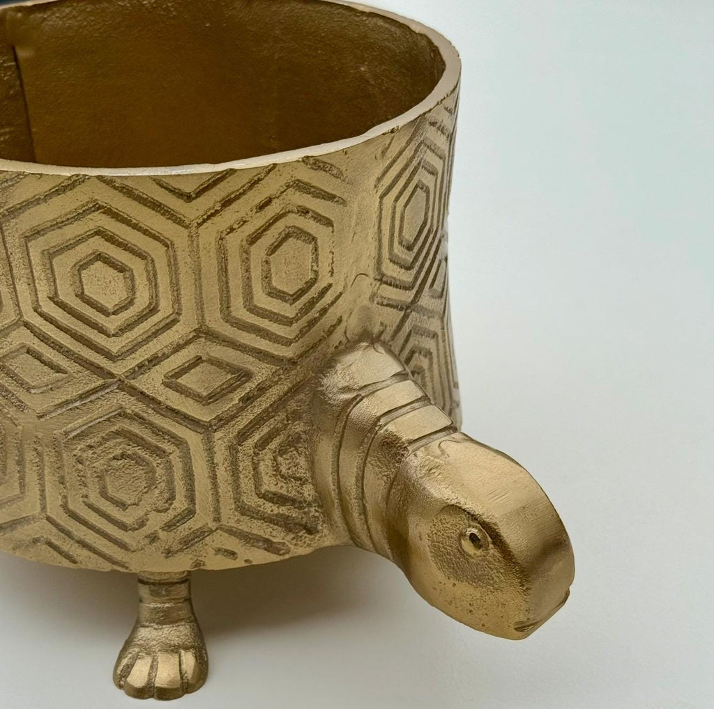 Tortoise Brass Metal Planter Pot for Succulents and Indoor Plants
