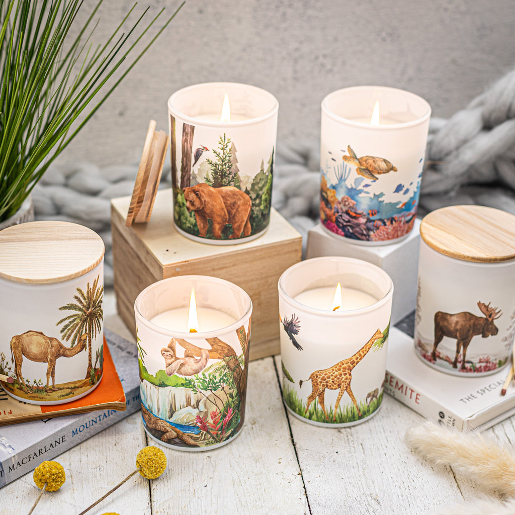 Revitalising Freshwater Vegan Scented Candle