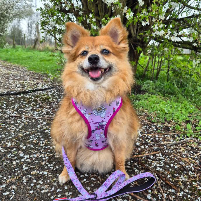 Moomins Pink Champagne Dog Lead
