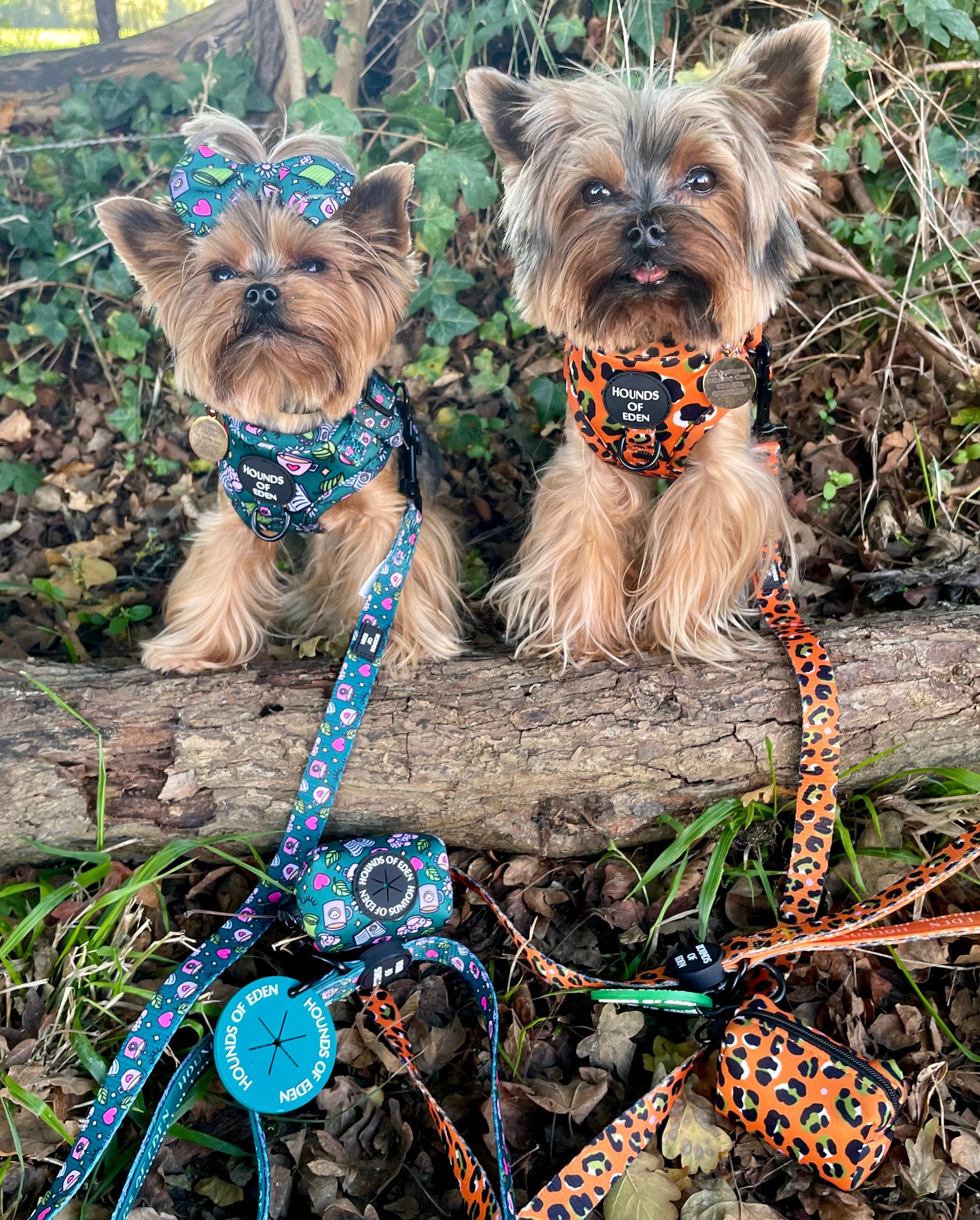 Burnt Orange Leopard Dog Harness with Extended Fit