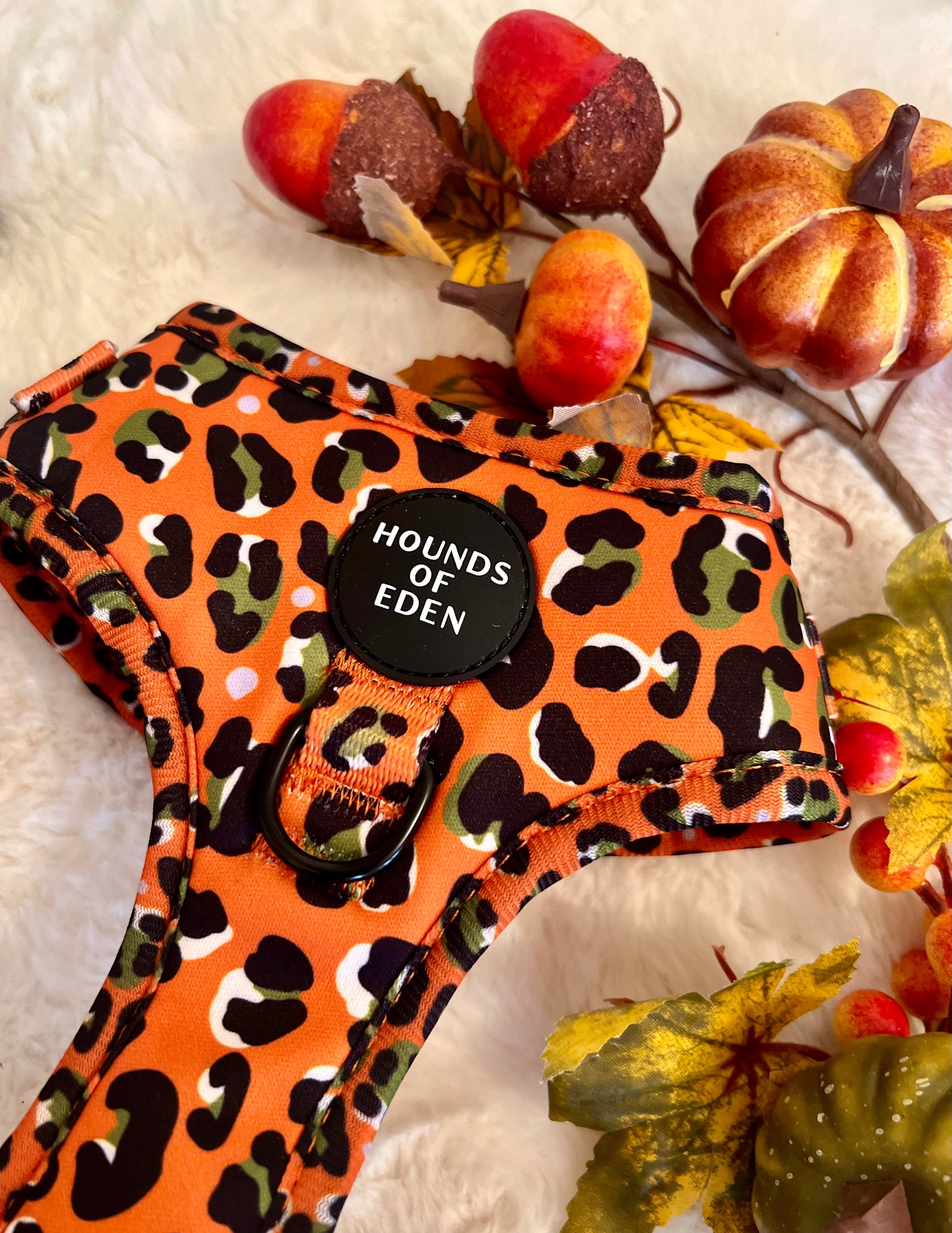 Burnt Orange Leopard Dog Harness with Extended Fit