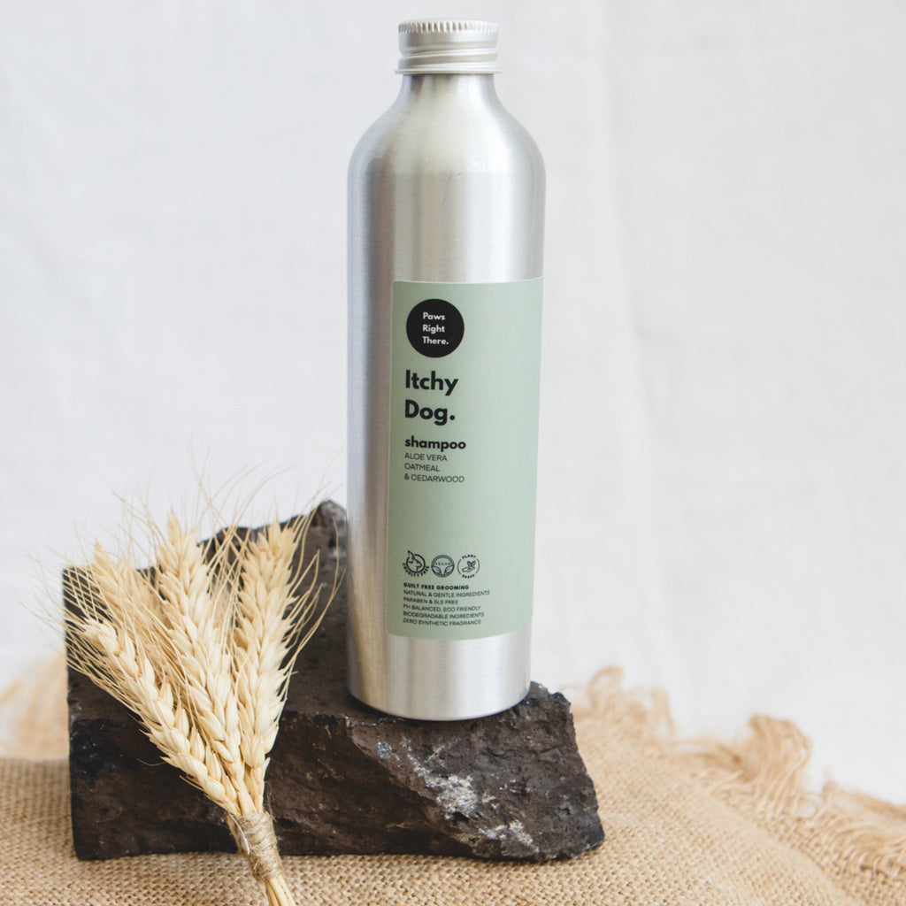 Soothing Itch Relief Shampoo for Dogs