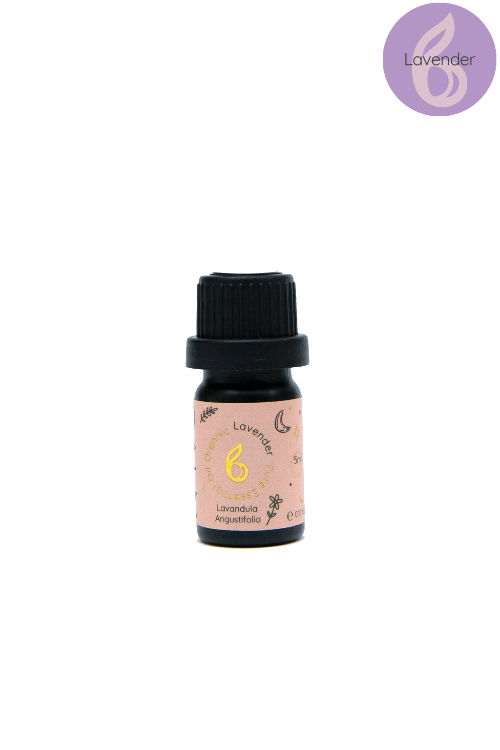 Breathe Calm Essential Oil Set