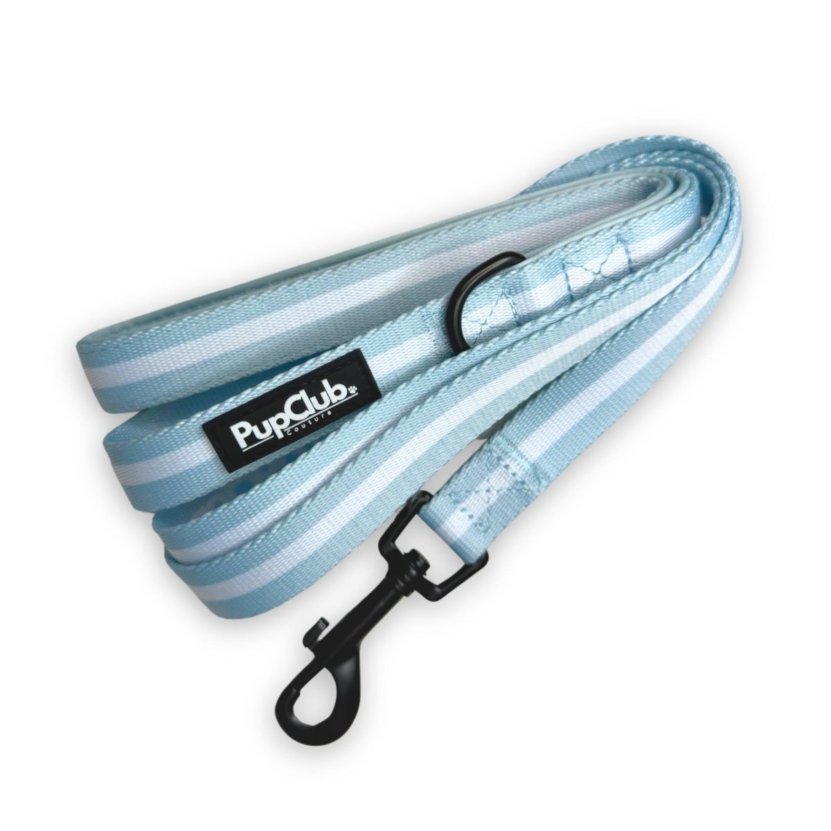 Pastel Blue Lead for Dogs
