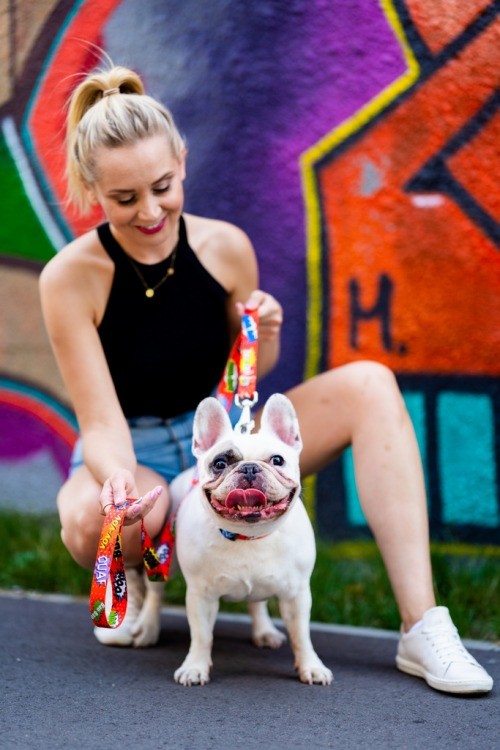 soft red graffiti dog leash with secure carabiner in warm morning light