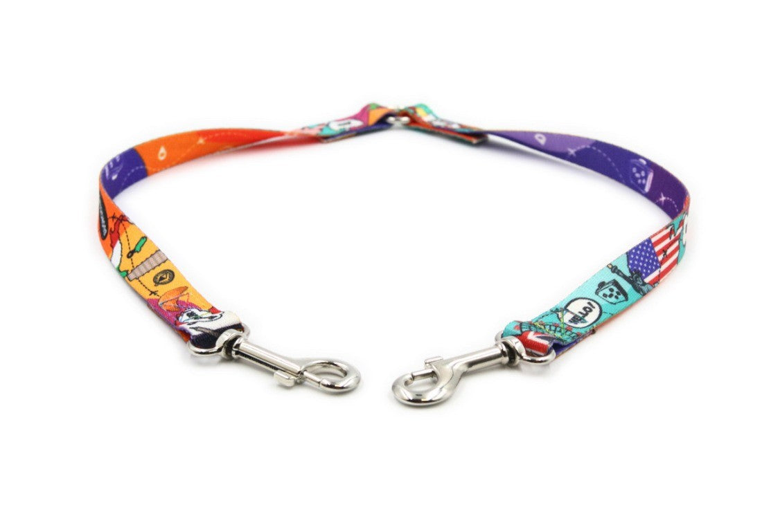 two happy dogs playfully walking together on a sunny day with the dual leash splitter