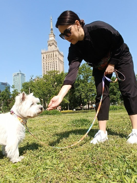 a close-up of the durable carabineer clasp on a travel leash for adventurous pets