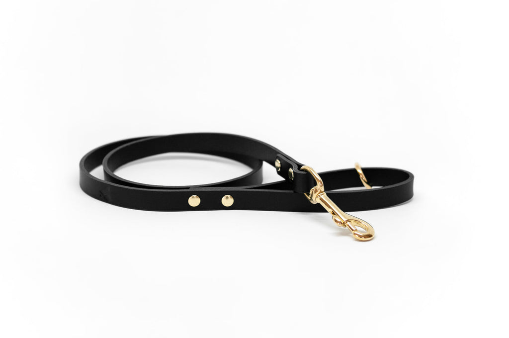 Classic Leather Dog Lead