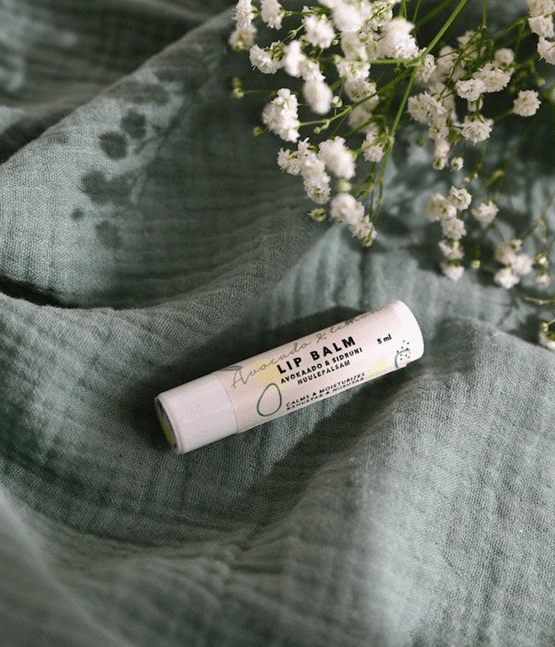 a small open pot of avocado and lemon lip balm bathed in soft, warm morning light