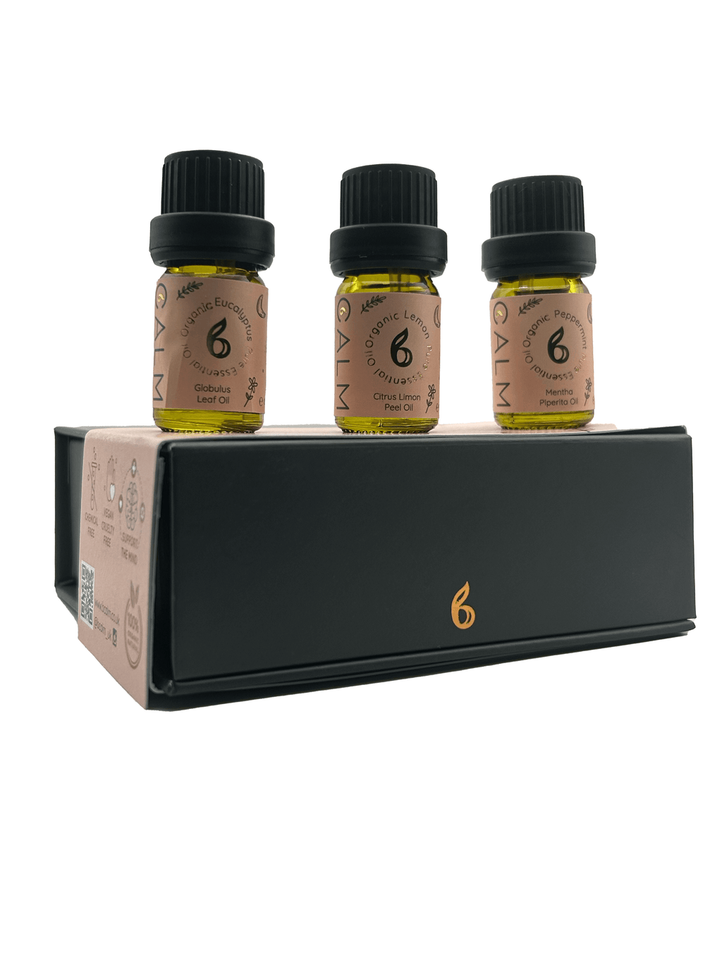 Geo Cut Glass Aroma Diffuser with Live Calm Essential Oil Set