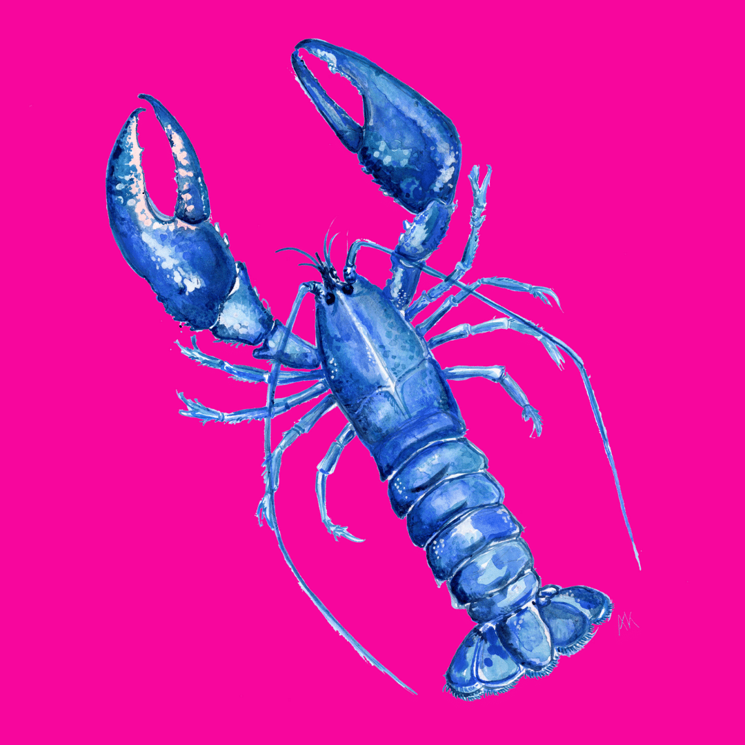 Super Duper Pink Lobster Oven Gloves