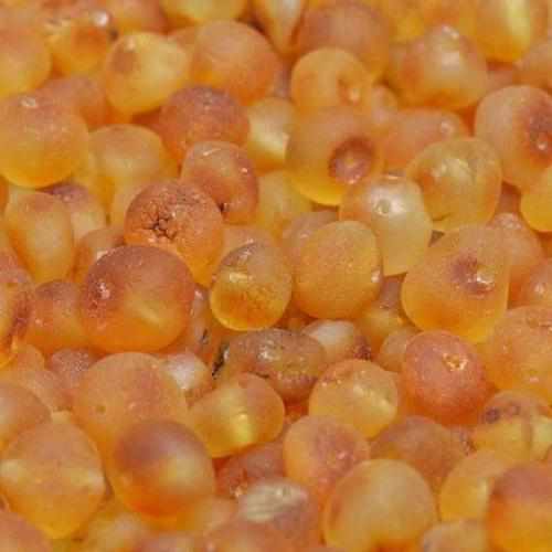 Adult Bees Knees Raw Honey Baltic Amber Stretch Bracelet