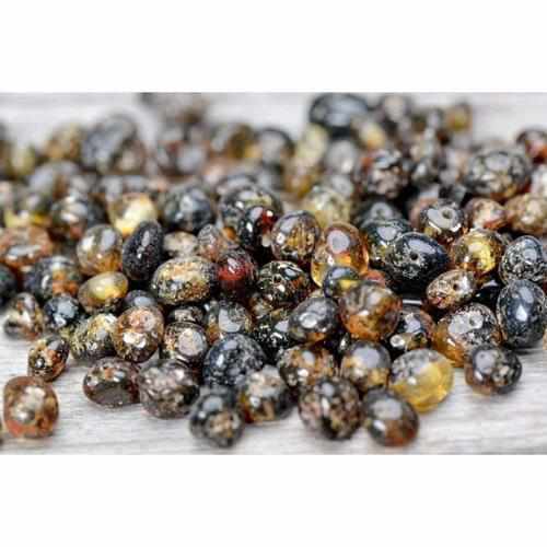 Adult Evergreen Polished Green Baltic Amber Necklace