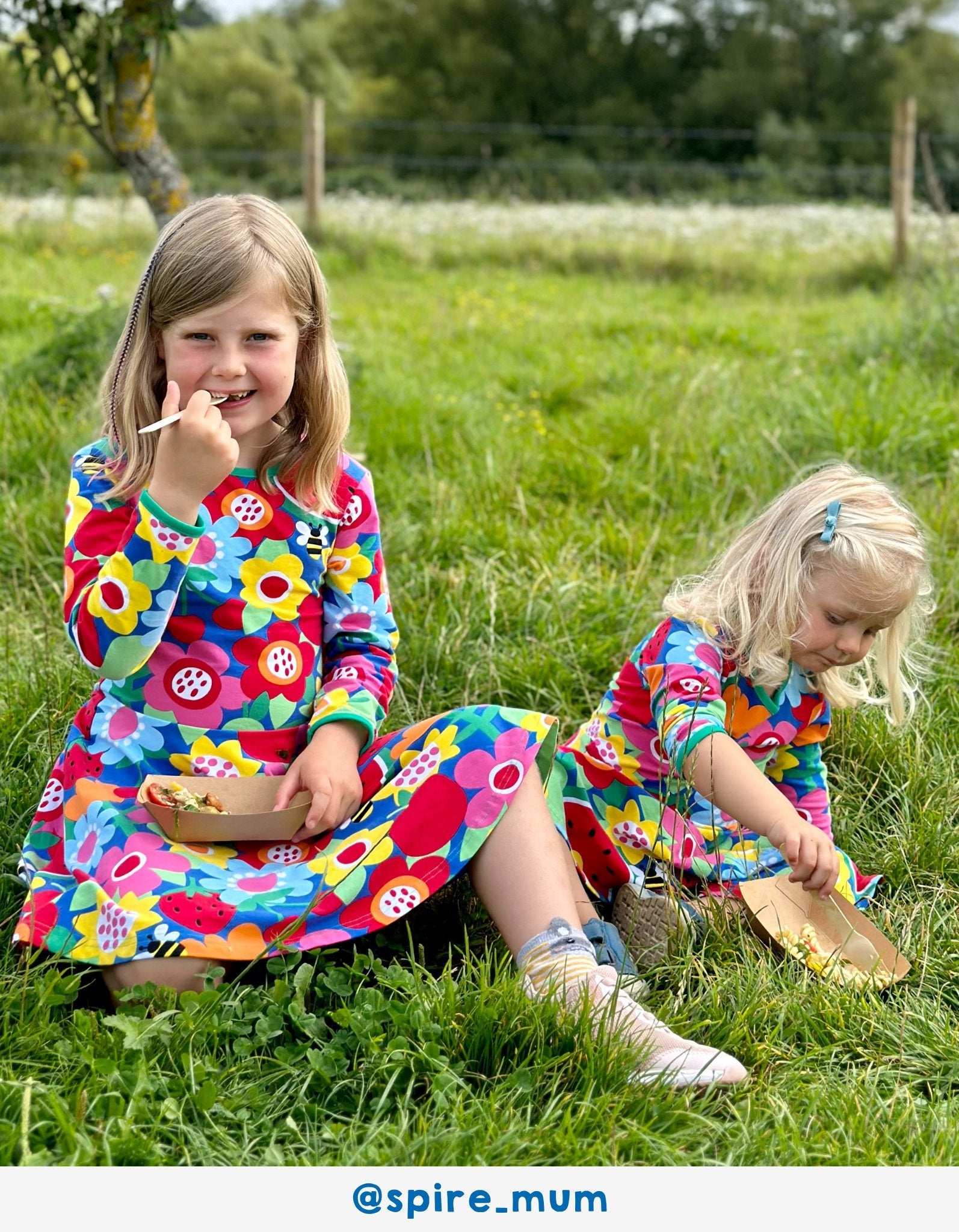 Organic Fruit Flower Print Skater Dress