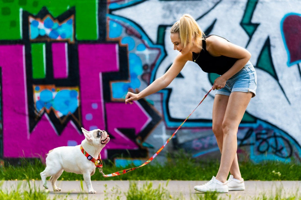 bold red graffiti martingale dog collar for secure stylish walks