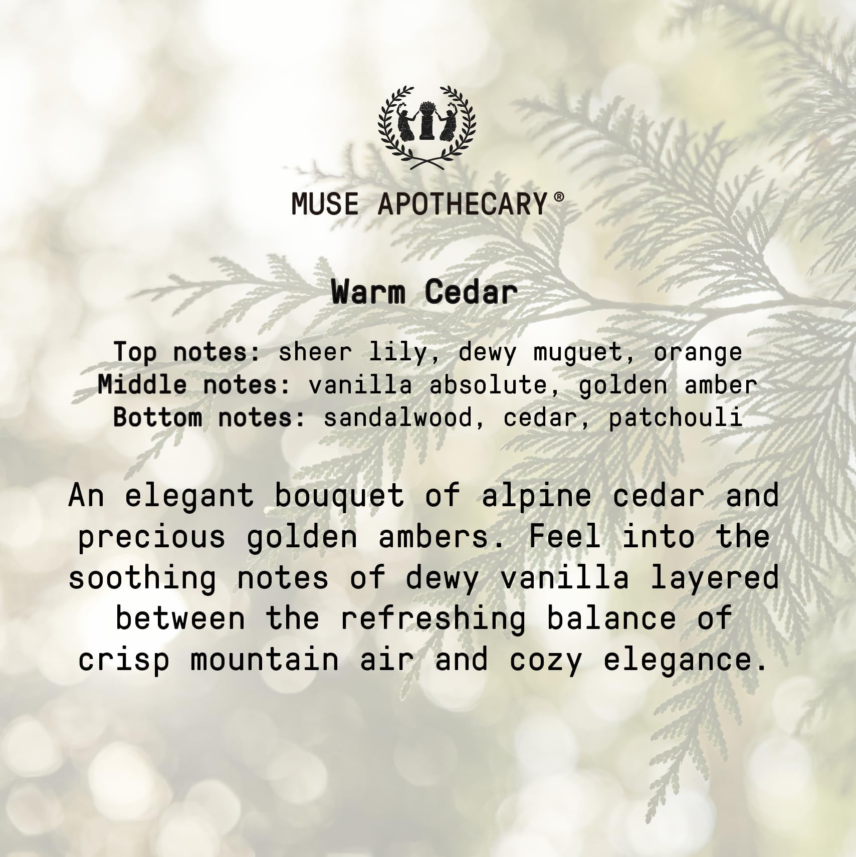 Calming Pillow Mist in Warm Cedar