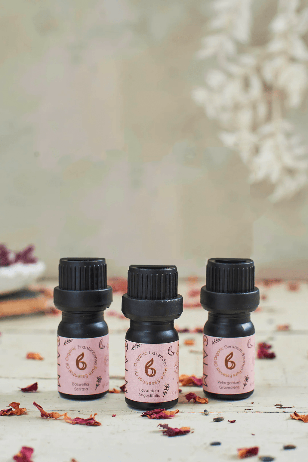 Rest Calm Essential Oil Set