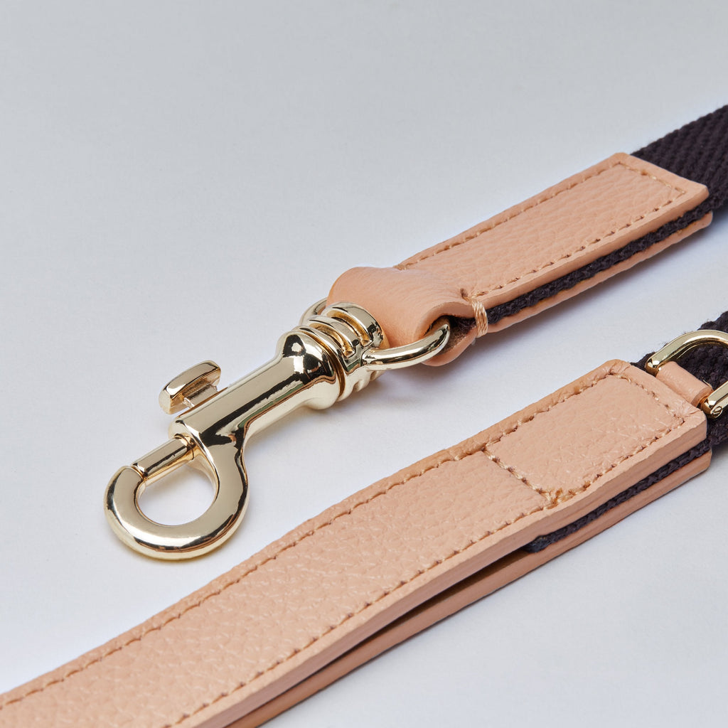 Contrast Lead in Apricot and Black